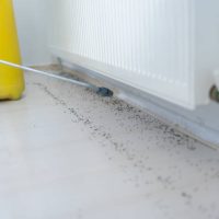 Male Worker Spraying Insecticide With Sprayer At Home