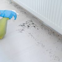 Woman Spraying Insecticide With Sprayer At Home