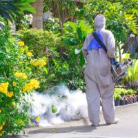 Outdoor healthcare worker using fogging machine to spraying chemical to eliminate mosquitoes in front yard garden on roadside area